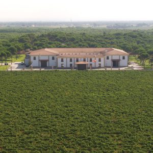スペイン最高格付け認証ワイン”ビノ・デ・パゴ”の魅力
